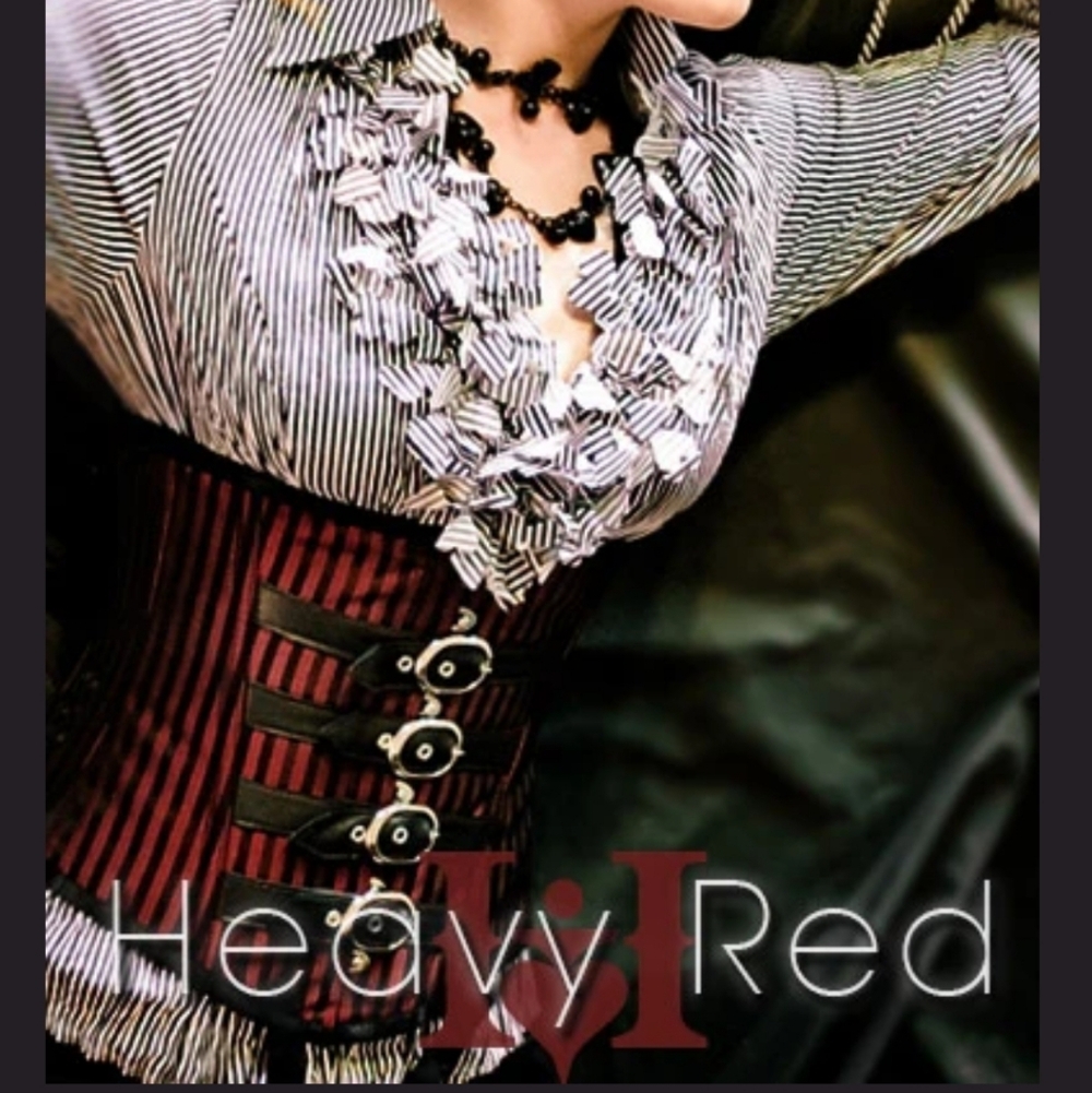 New Striped Steel Boned Corset - Picture 3 of 4